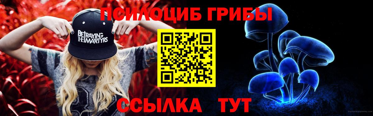 Псилоцибиновые грибы мицелий Городец